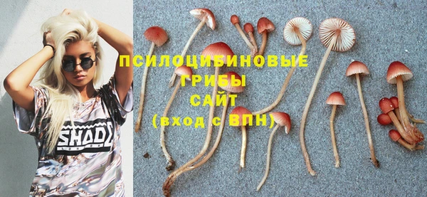 первитин Мегион