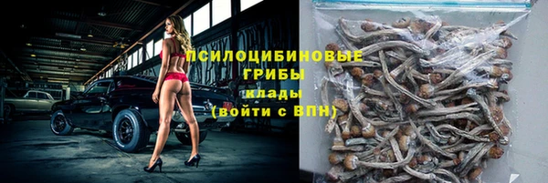 соль ск Алексин